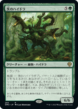 MTG 苔生まれのハイドラ ボーダーレス 非foil 4枚セット カード詳細