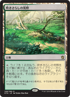 MTG 吹きさらしの荒野 ジャッジ褒章 Foil Foil】《吹きさらしの荒野