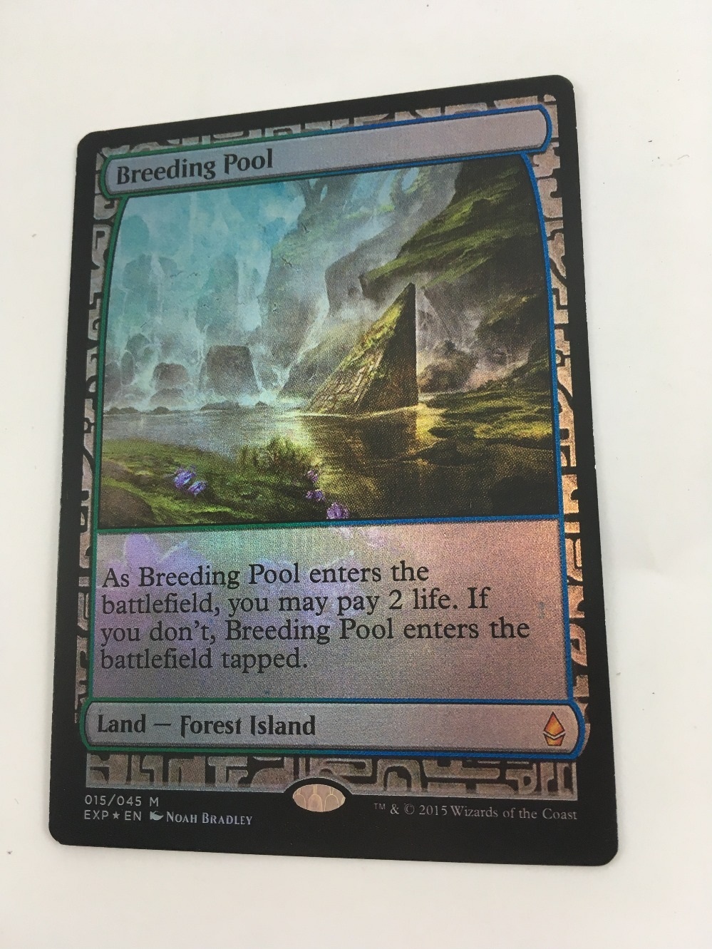 繁殖池/Breeding Pool DIS英語foil EX]繁殖池/Breeding Pool《英語