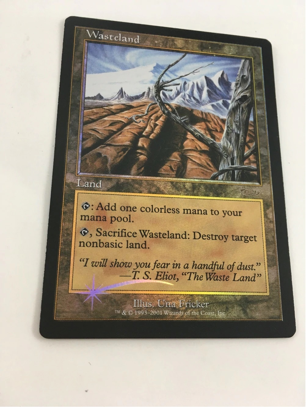 MTG 不毛の大地/Wasteland FOIL