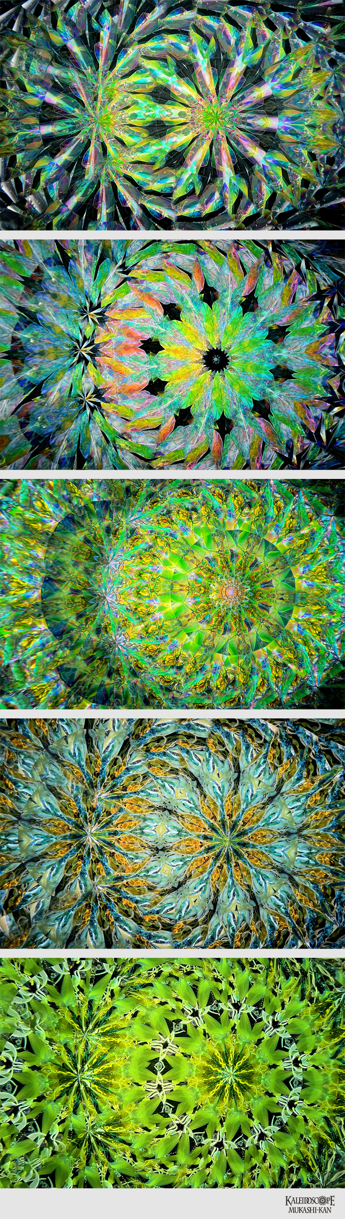 万華鏡：オイルワンド】凛_a：中里 保子[送料無料]