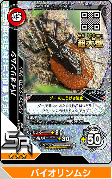 第44回：2016サードの注目ムシはこれだ～！｜ムシキング研究所｜新甲虫