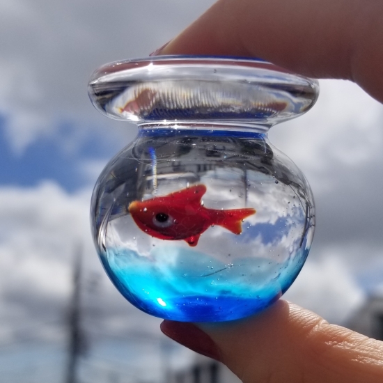 金魚鉢M-002 of 🫧金魚の硝子屋🫧