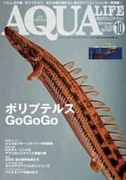 アクアライフの最新号 | dマガジンなら2,400誌以上の人気雑誌が読み放題！