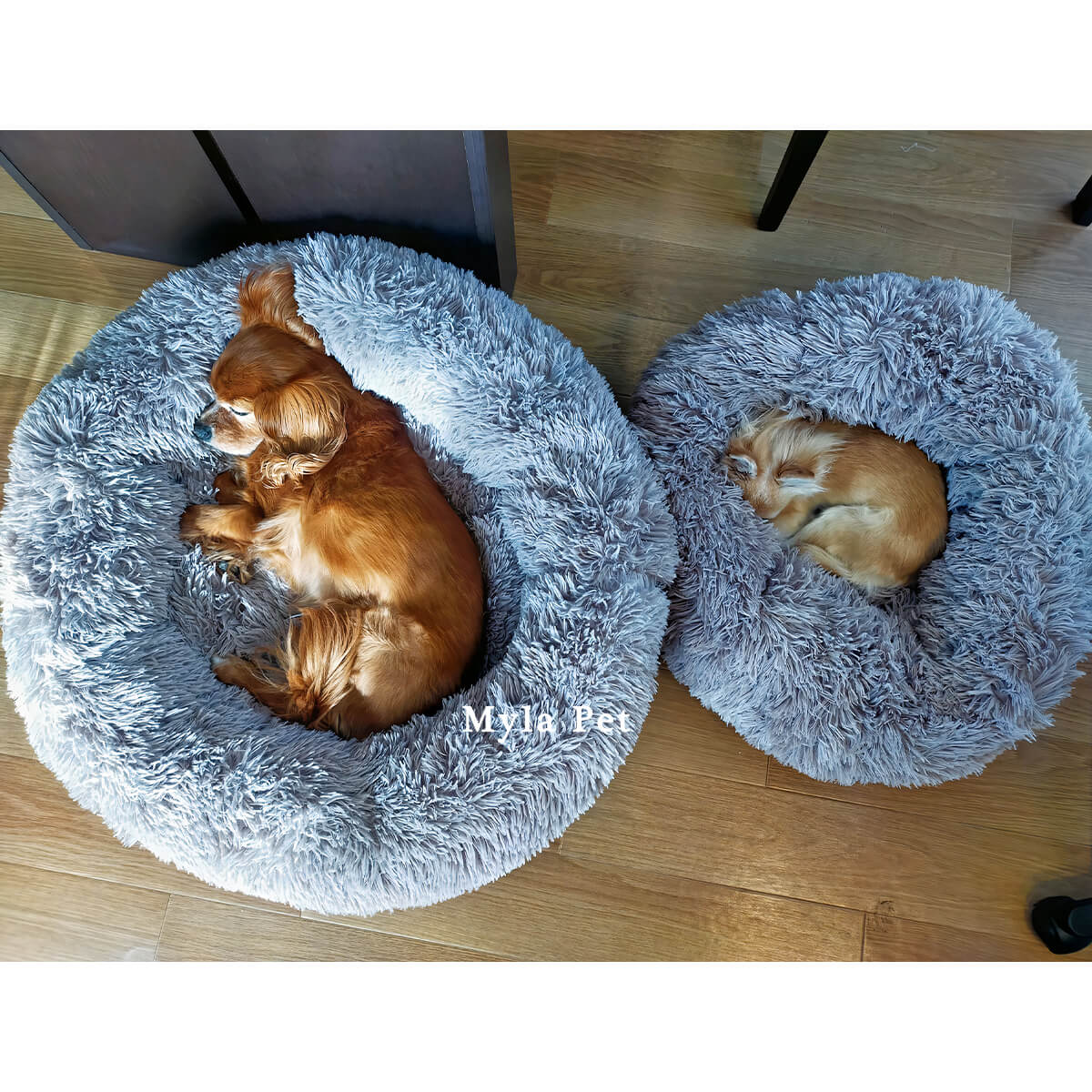 ペットの生活を変えるベッド – MylaPet