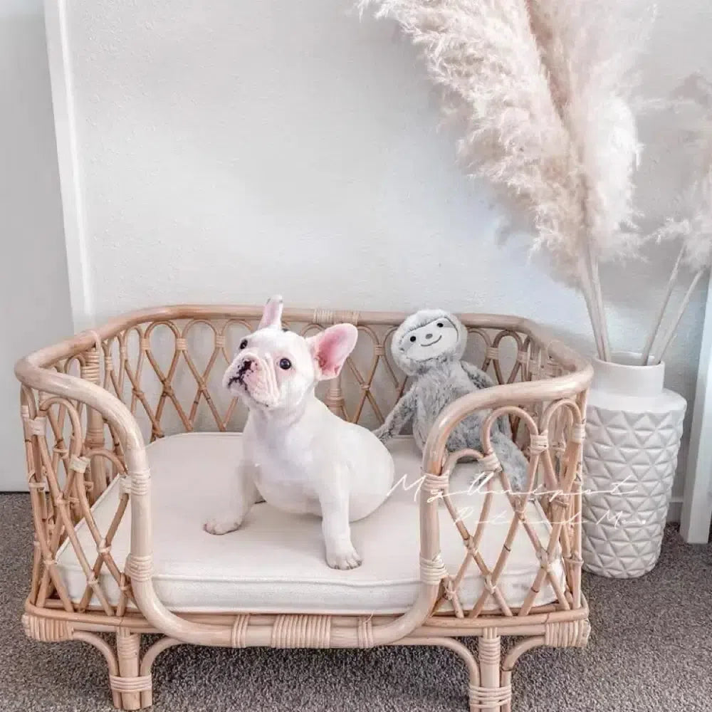 天然ラタン手編み】高級ペットベッド｜おしゃれ北欧風デザイン（犬猫