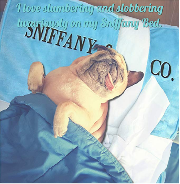 Dog Diggin Sniffany & Co Bed: Luxury Pet Bed for Pampered Pooches