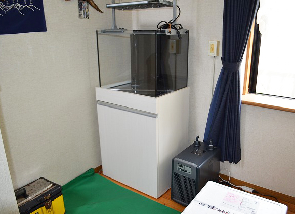 オーバーフロー水槽設置～オルカT60新型ろ過槽～ | 生麦海水魚センター