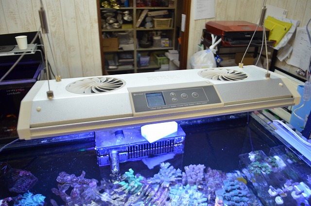 最新モデル】スペクトラ SPECTRA SP200 SPECTRA SP200 水槽用LEDライト