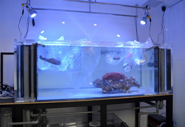 アクリル水槽オーバーフロー1800 900 600 フルセット 1800×900×600フル