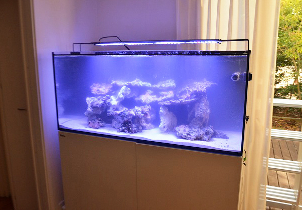 オーバーフロー設置～REEFER350～ | 生麦海水魚センター