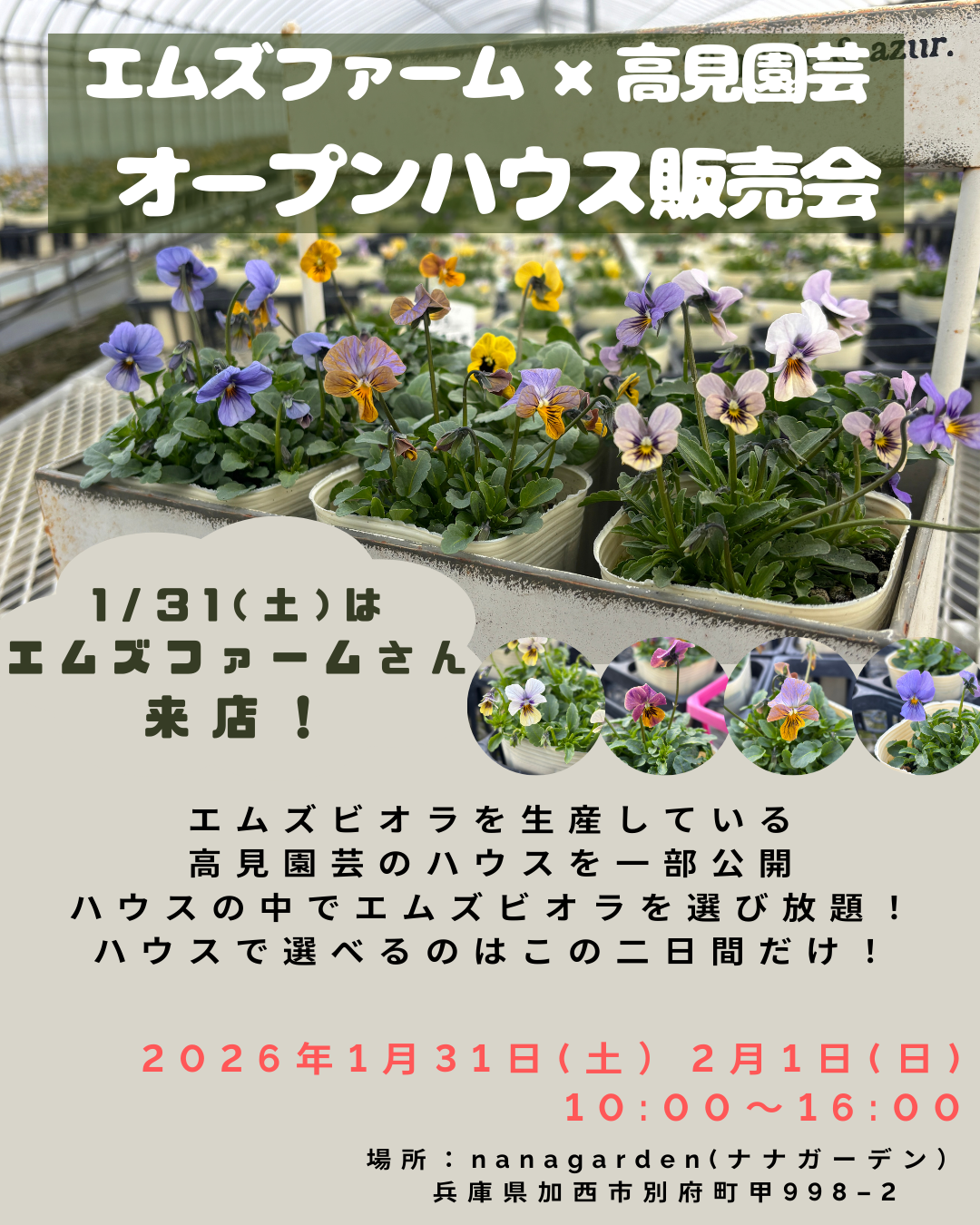エムズファーム×高見園芸 オープンハウス販売会 – nanagarden（ナナ
