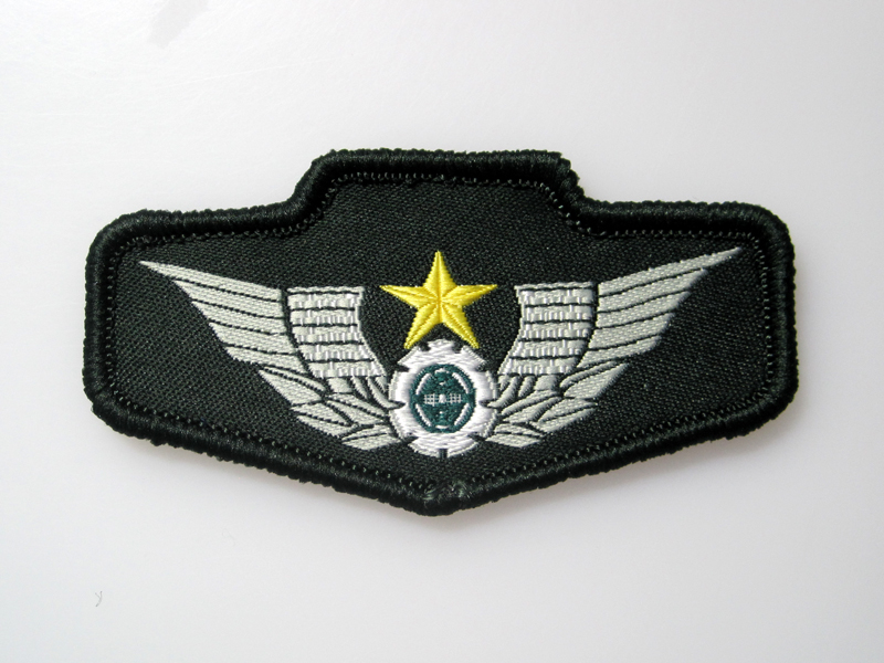 中国人民解放軍 15式胸章／臂章 (実物)│ナナシノミコト