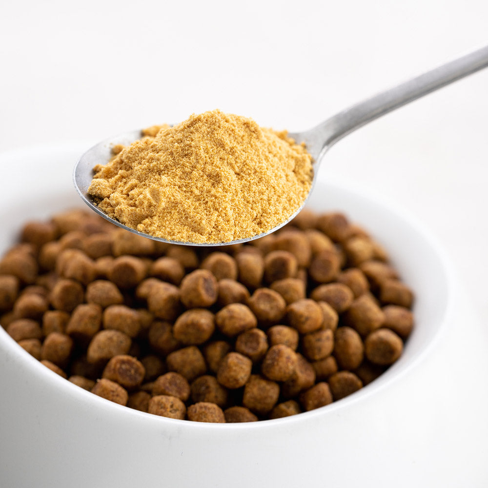 免疫力・健康維持・腸内環境維持に 【コルディフローラ】 日本製