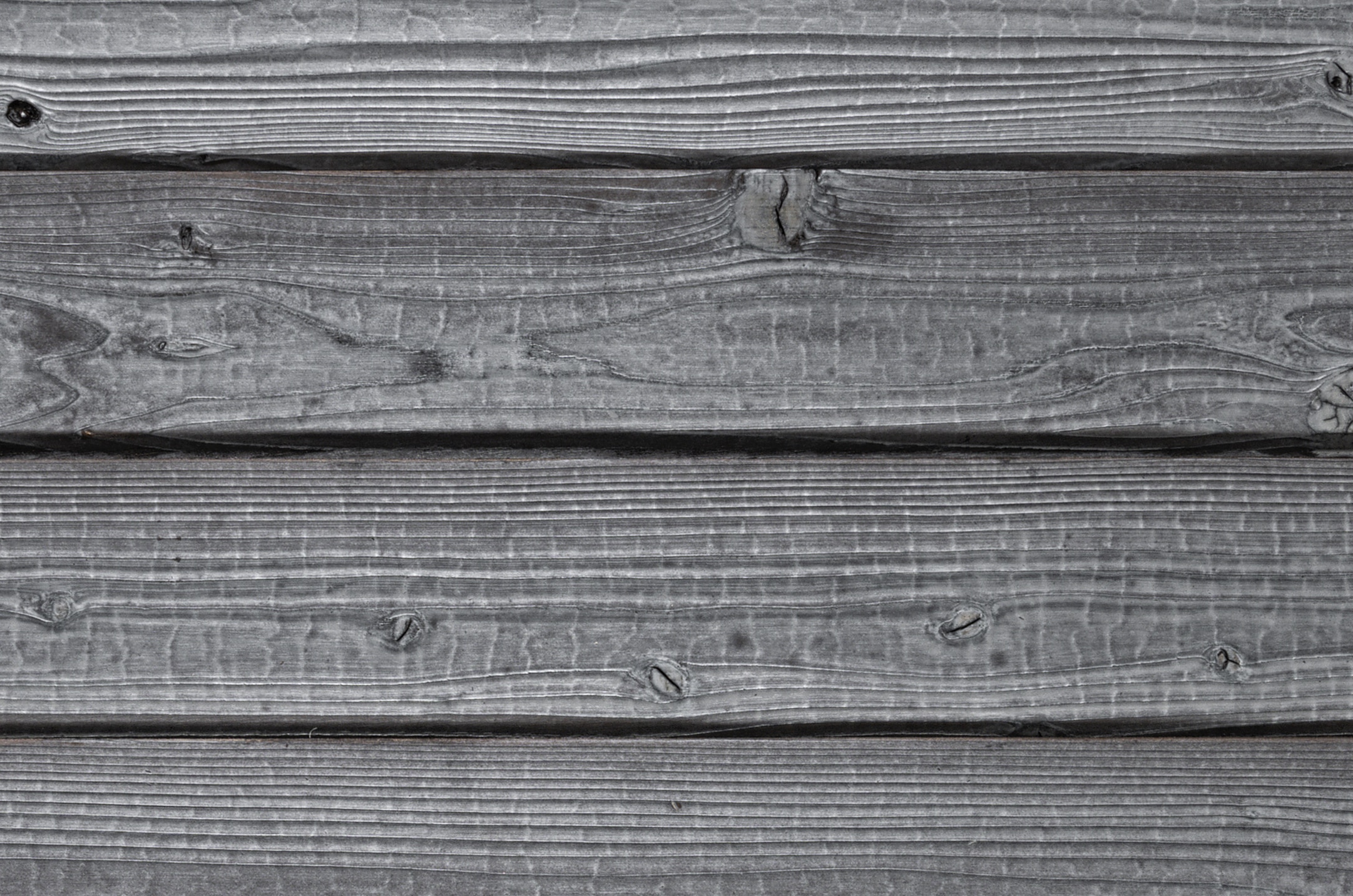 Carbonised wood - Gendai - Nakamoto Forestry