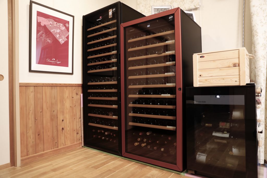 インバーターセラー CASUAL+ FJC-95G（BK）