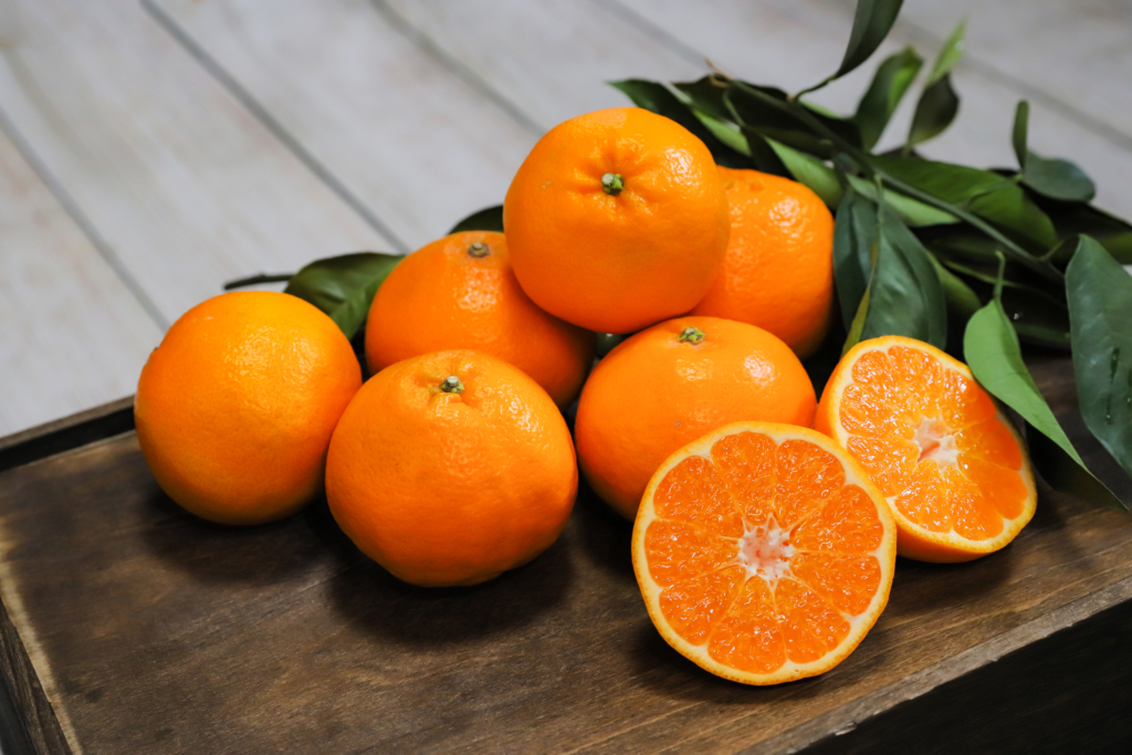 高根島みかんの種類 – 長畠農園