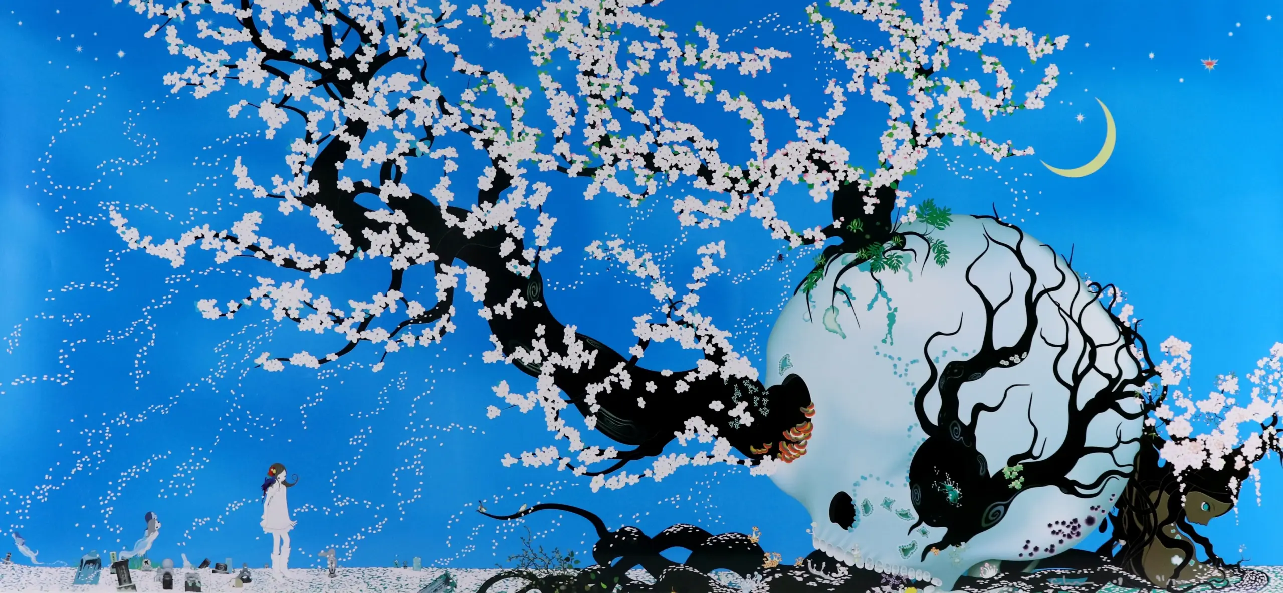 青島千穂 5枚 青島千穂 5枚 青島千穂 5枚 青島千穂,Chiho Aoshima