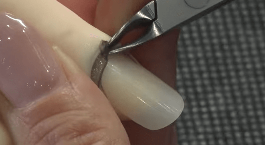 認定ハンドくん JNEC認定モデルハンド｜公益財団法人日本ネイリスト