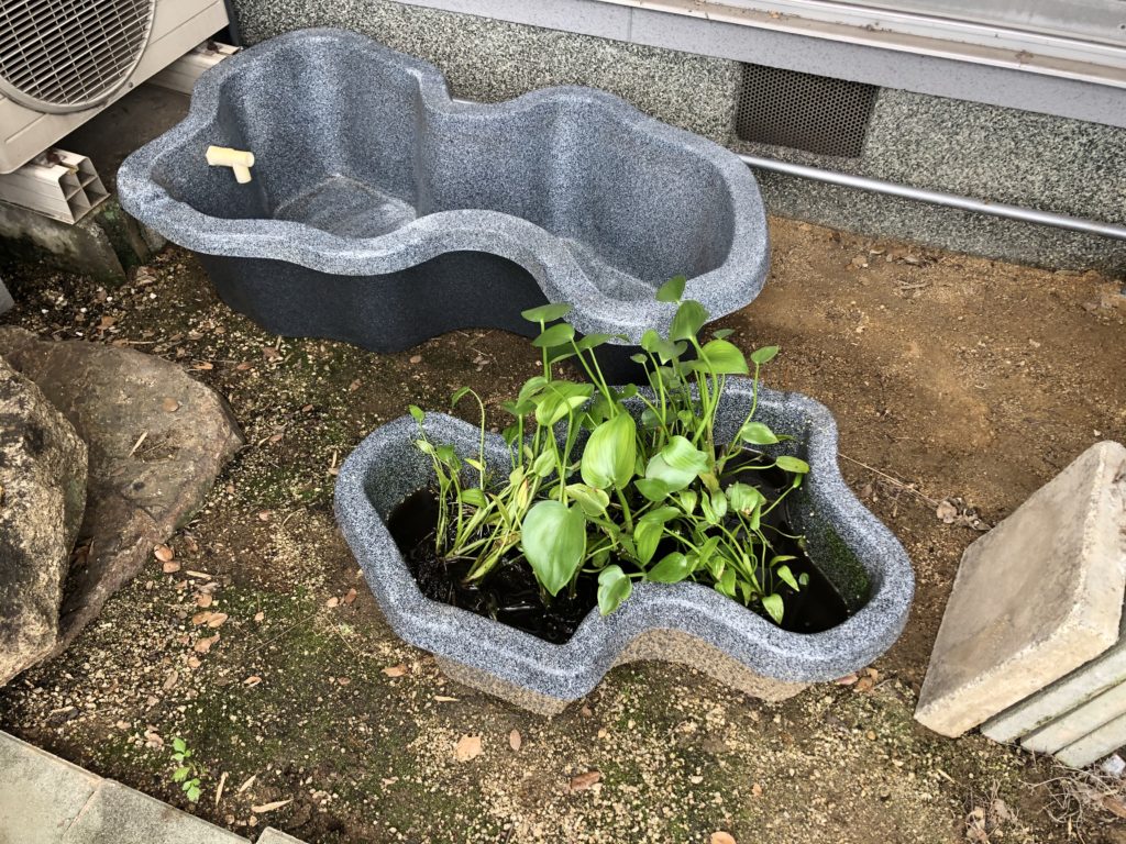 ひょうたん池 水槽 プラスチック池
