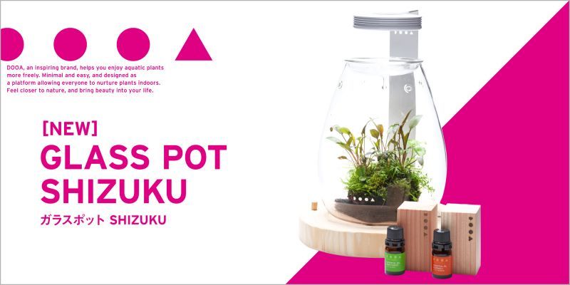ADA DOOA GLASS POT SHIZUKU 入荷しました。 - What's New｜Aqua