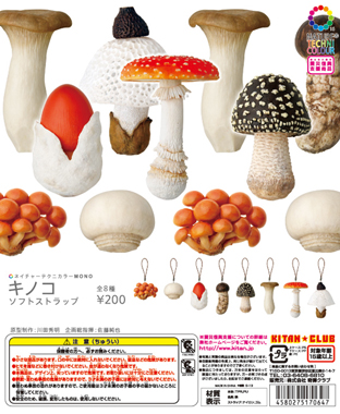 キノコ ソフトストラップ – ネイチャーテクニカラー公式