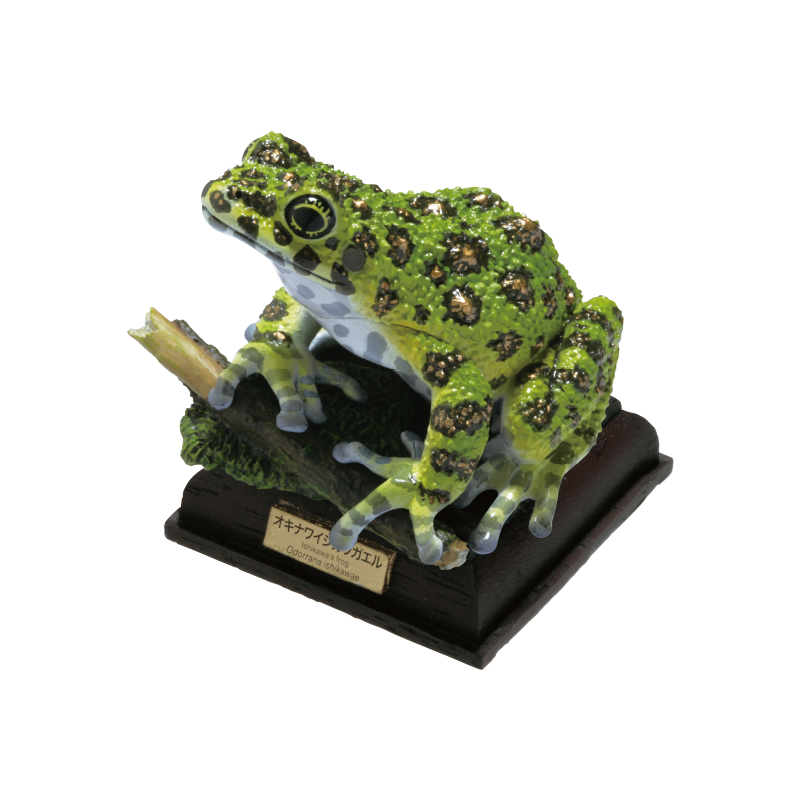 NTC 日本のカエル 特装版 – ネイチャーテクニカラー公式