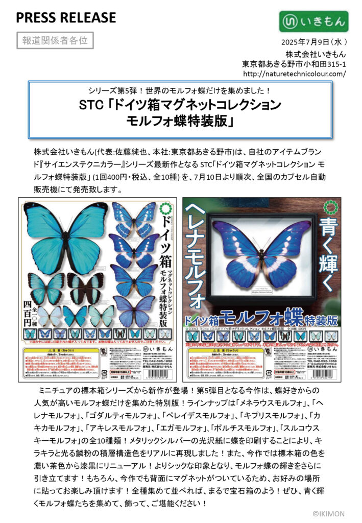 アキレスモルフォ9頭UVドイツ箱 アキレスモルフォ9頭UVドイツ箱 Amazon