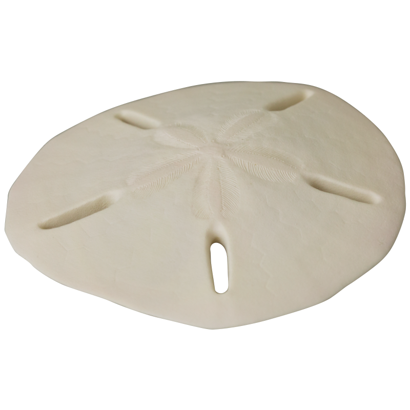 NTC MONO+ ウニ殻 マグネットコレクション – ネイチャーテクニカラー公式