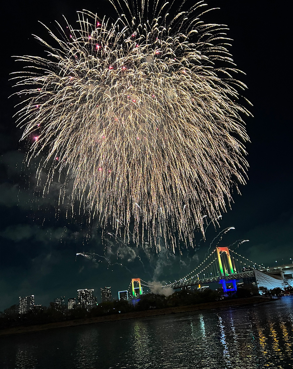 2024年12月☆お台場レインボー花火の様子 | 料理自慢の屋形船「なわ安