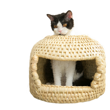 猫ちぐら 【公式通販】