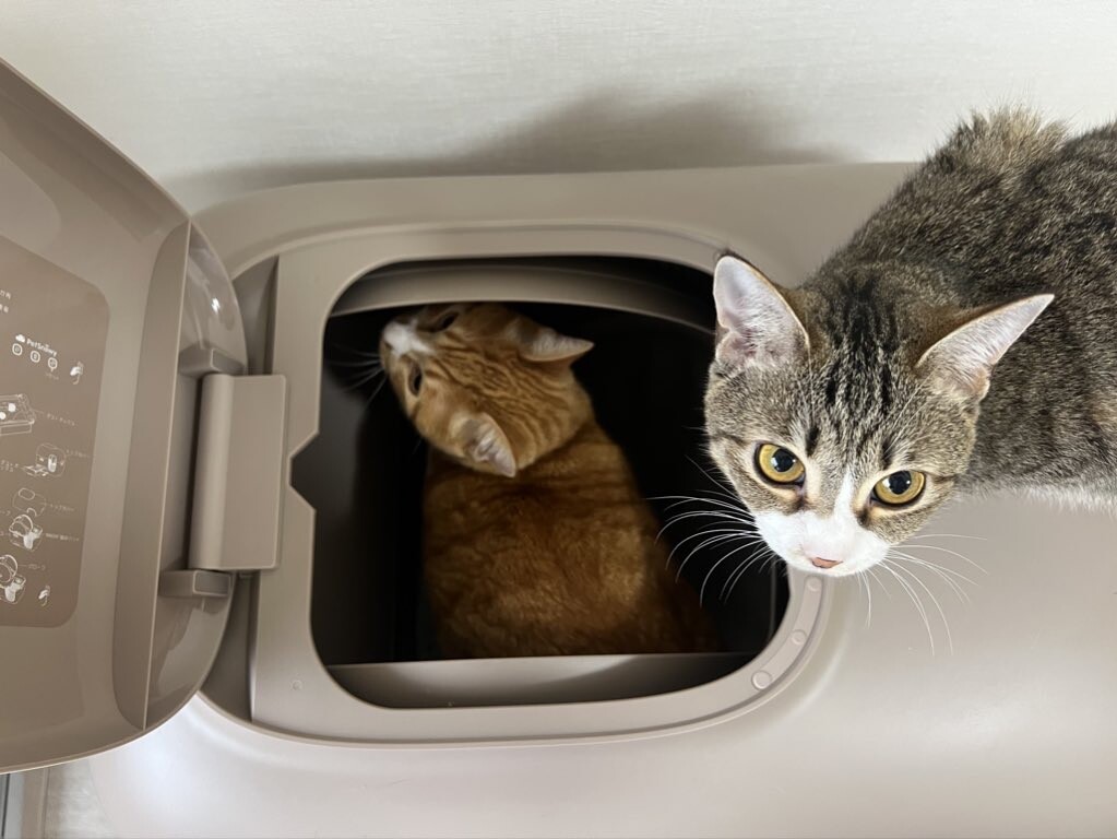 Pety 全自動スマート猫トイレ PS-001 本体＋専用袋付 PetSnowy 自動猫