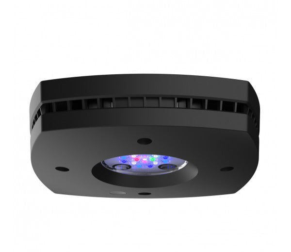 AI Prime 16 HD LED Reef Light – New Wave Aquaria