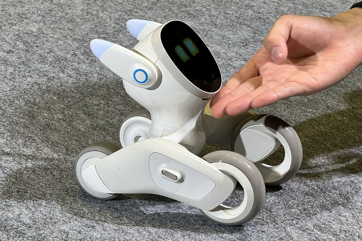 新品・未使用】Loona (ルーナ) Blue ペットロボット Loona ルーナ