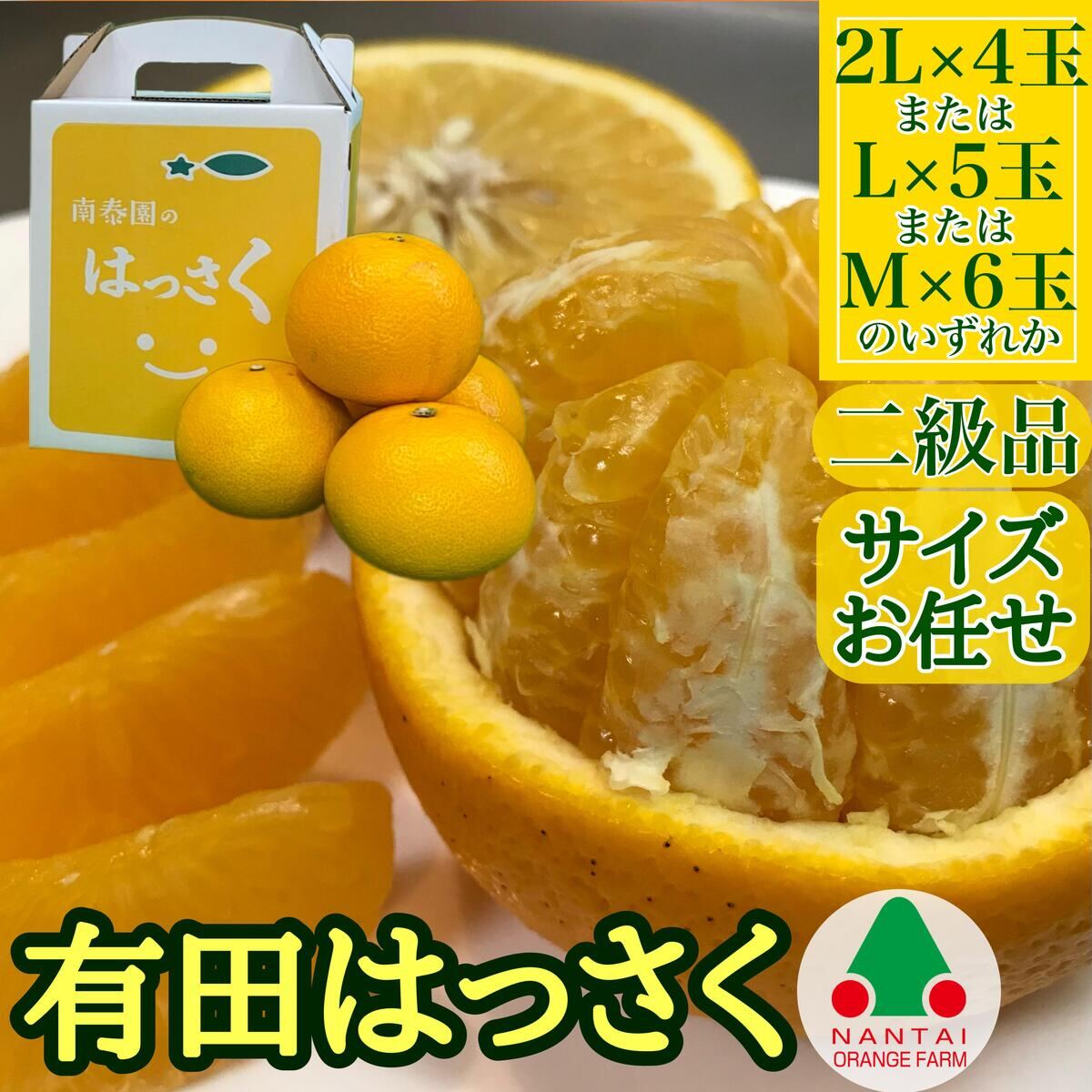 和歌山県有田川町のふるさと納税返礼品「『南泰園』こだわりのみかん