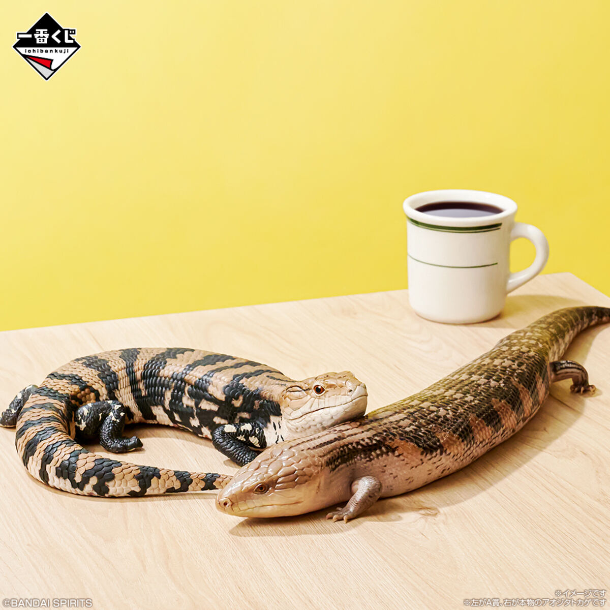 ローソン】超リアルな「爬虫類&両生類」だらけの一番くじ登場 - ラスト