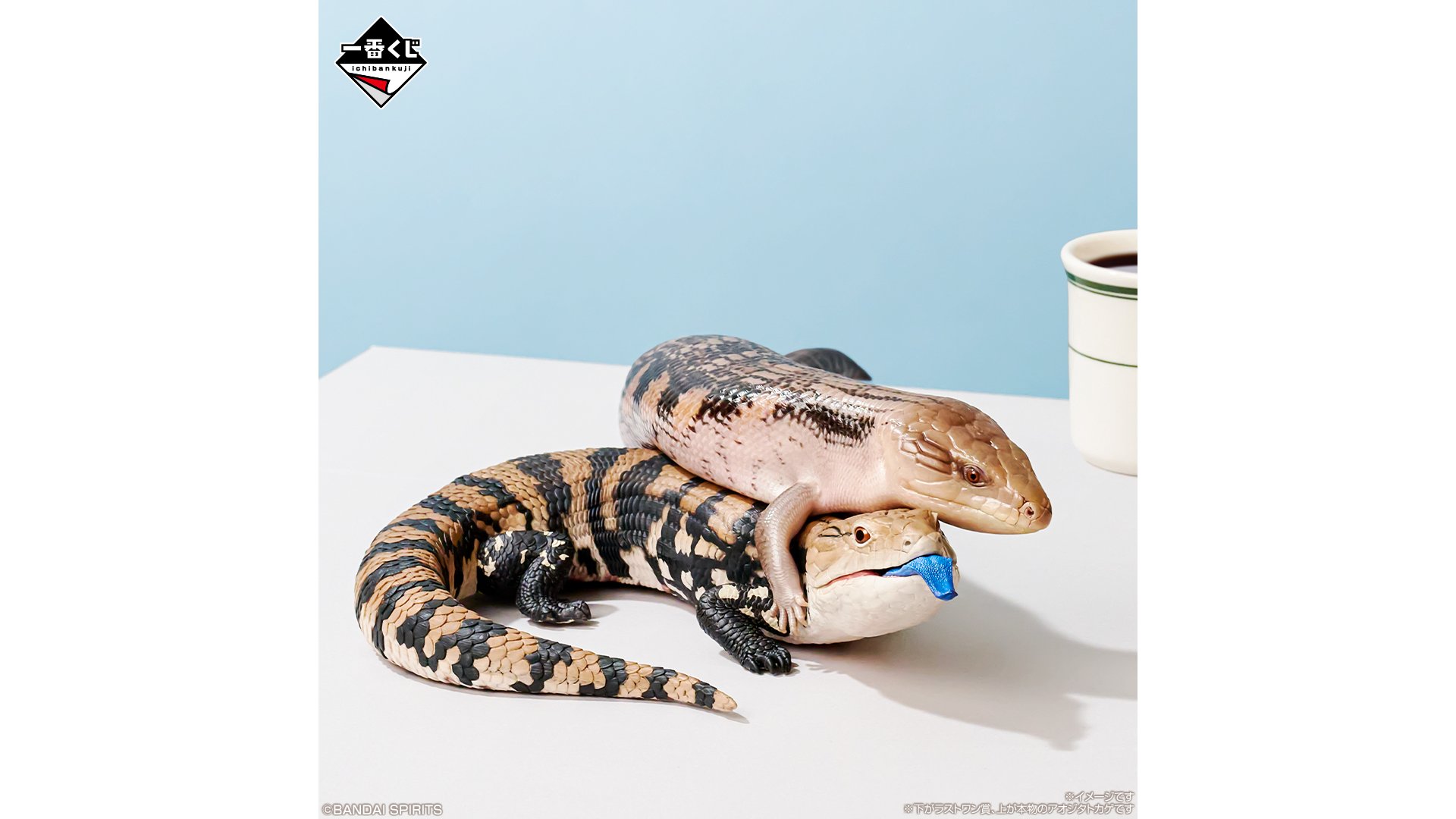 爬虫類＆両生類」だけの一番くじ第2弾が7月25日より発売