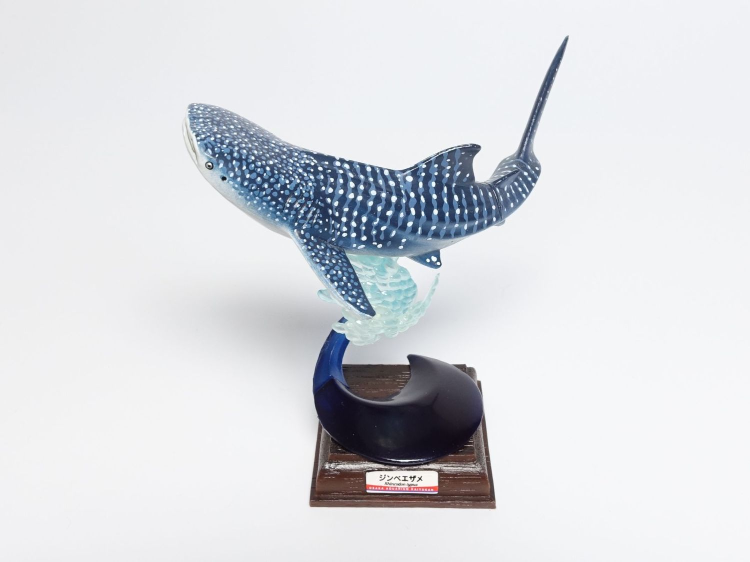 貴重レア ジンベイザメ「海遊館ミュージアム ネイチャーテクニカラー