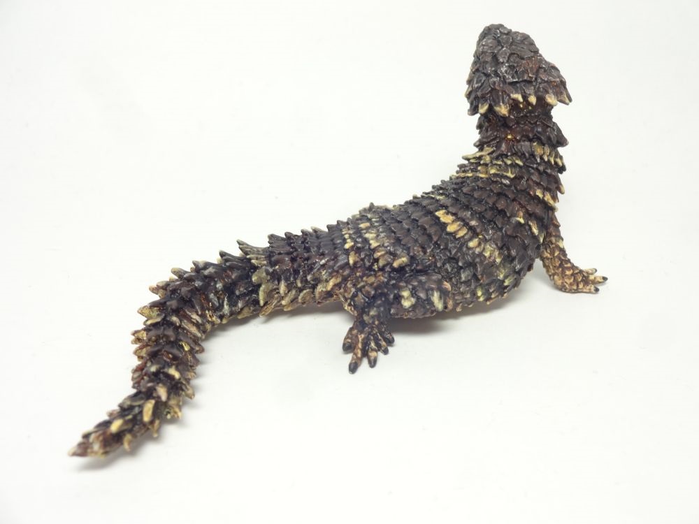 蟹蟲修造 オオヨロイトカゲ フィギュア 蟹蟲修造 オオヨロイトカゲ