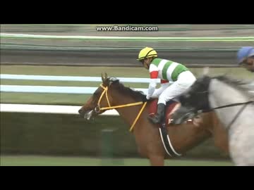 2014 札幌記念 (GII) ハープスターvsゴールドシップ - ニコニコ動画