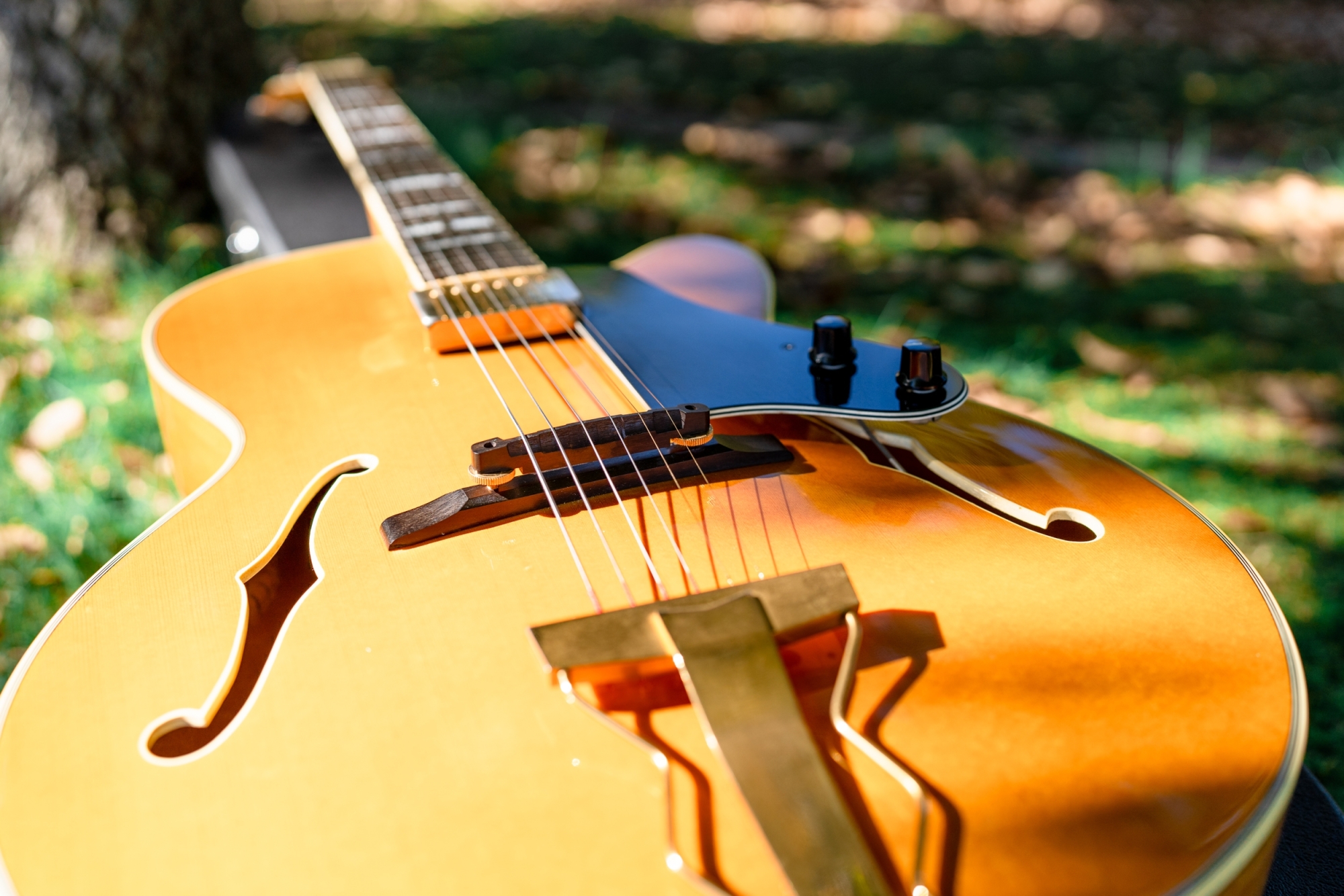 Epiphone NVJ-NT / Gibson | 売ります | 【血となり肉となるジャズ