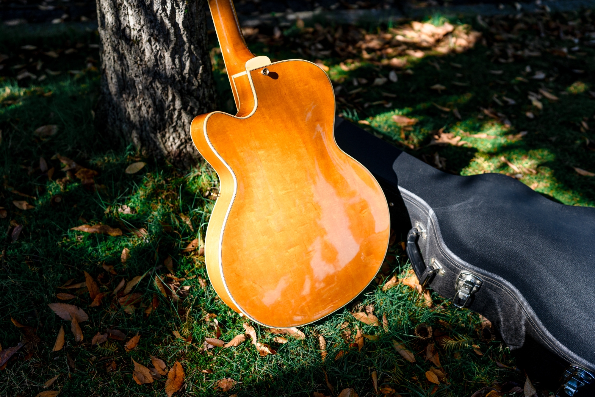 フルアコ 日本製 海外輸出モデル Epiphone NVJ-NT フルアコ 日本製