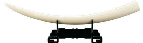 堆朱買取】中国骨董の堆朱（ついしゅ）とは？｜骨董品に関するコラム