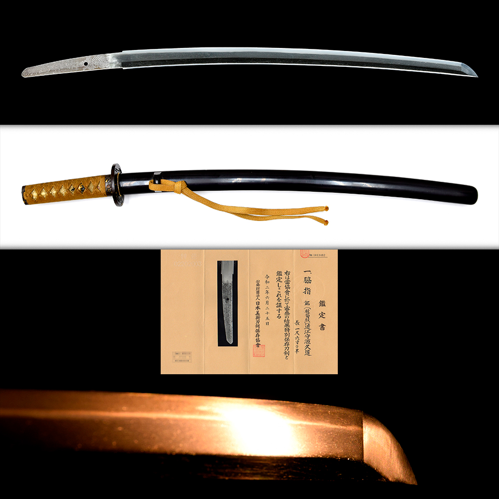 株式会社刀心 / （枝菊）近江守源久道（二代） - Omi no kami Minamoto