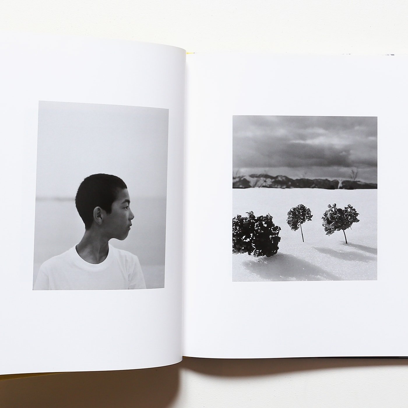 植田正治 小さい伝記 hysteric sixteen 1000部限定 植田正治 小さい