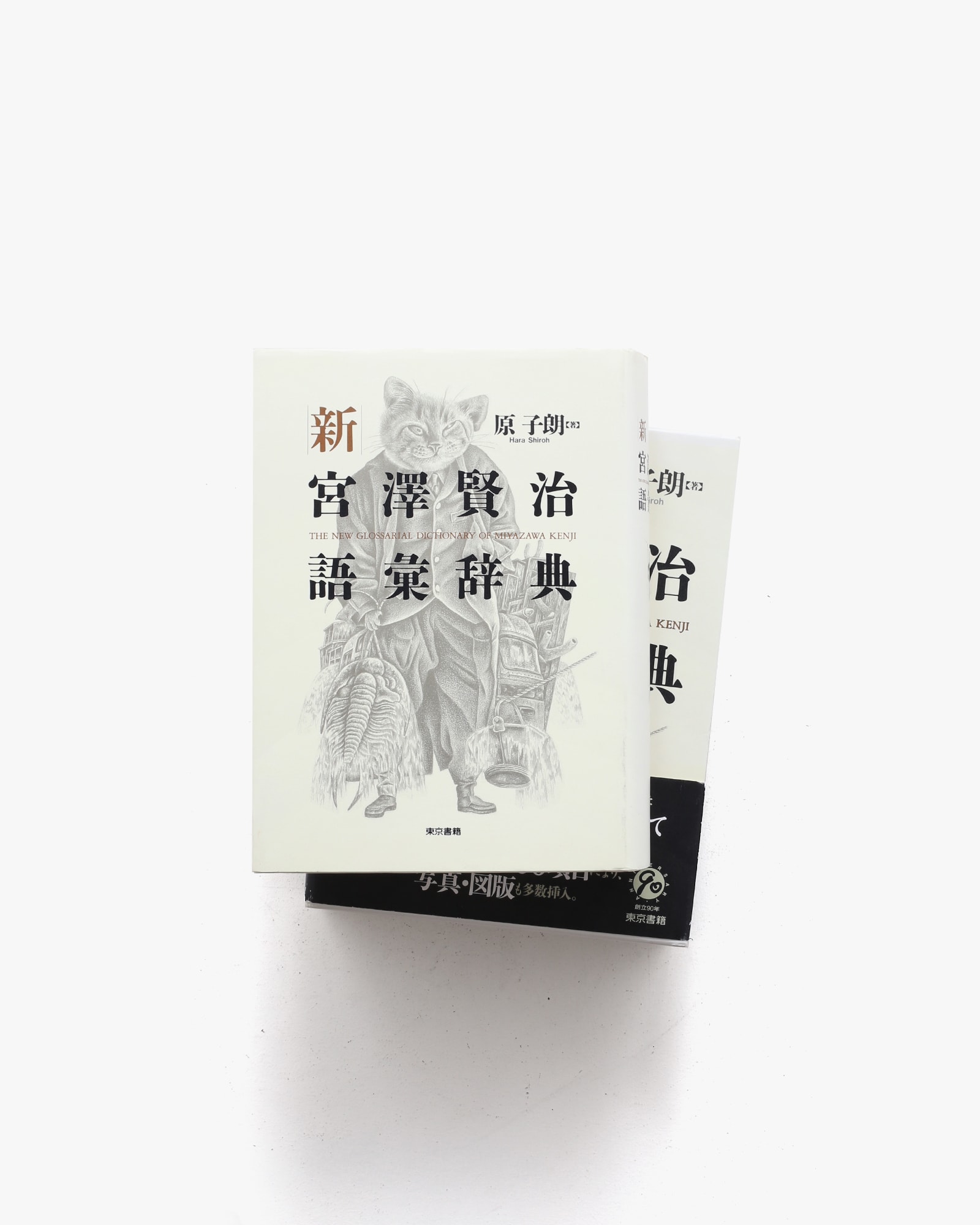 定本宮澤賢治語彙辞典 = The Newest Dictionary of M… 定本宮澤賢治