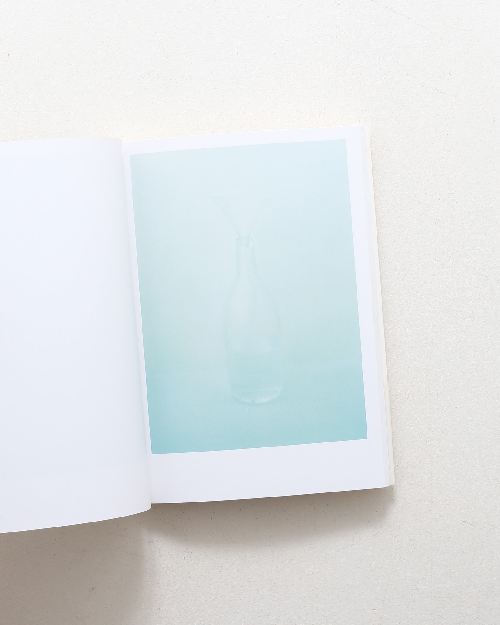 Daily Life 辻和美ガラス作品集 | nostos books ノストスブックス