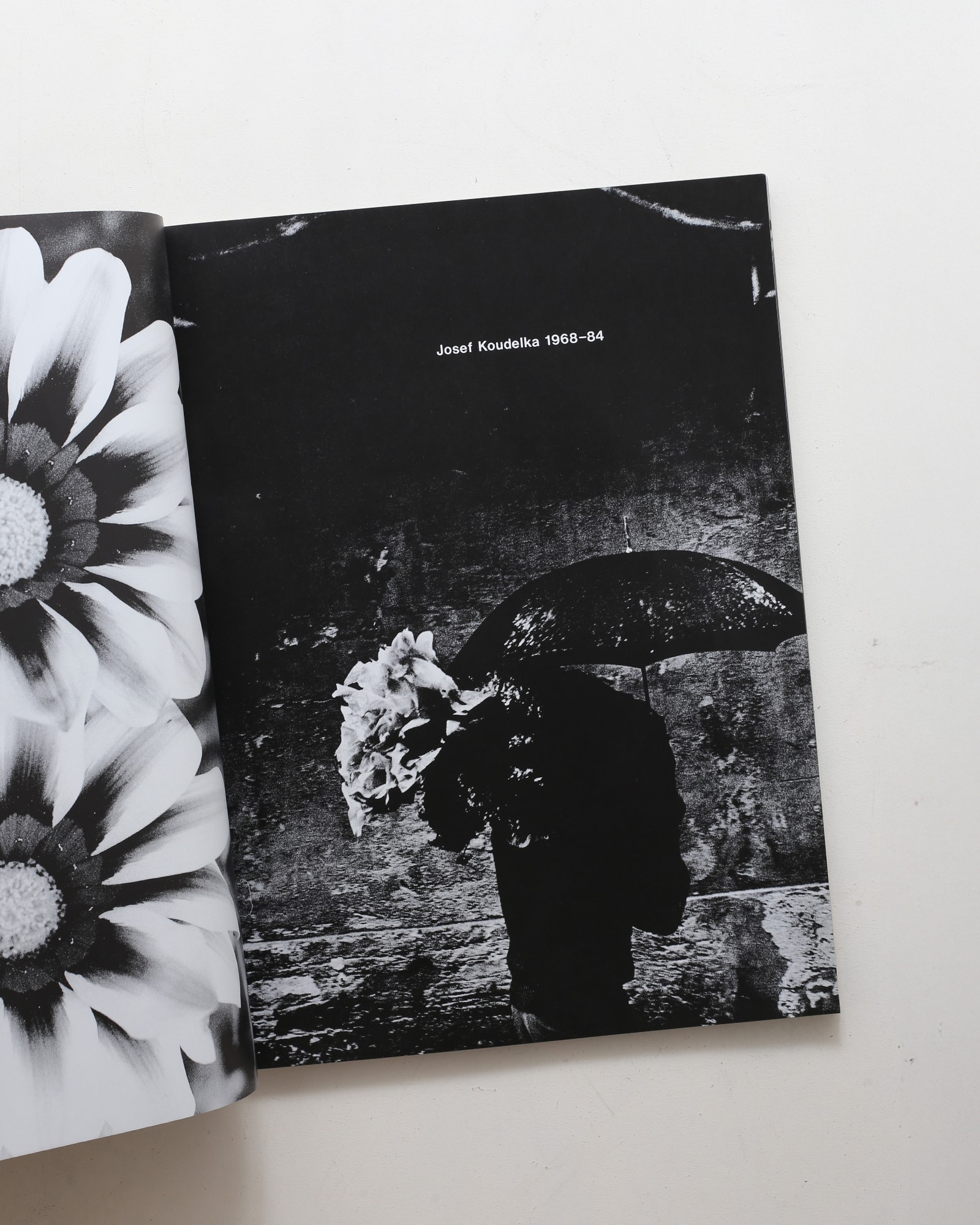 Comme des Garcons Six no.4 | nostos books ノストスブックス