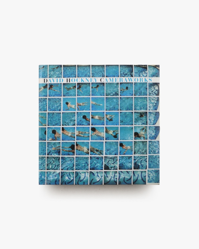 アメリカの女性作家キャシィ·ドナヘイのコラージュ作品。明るく自由な