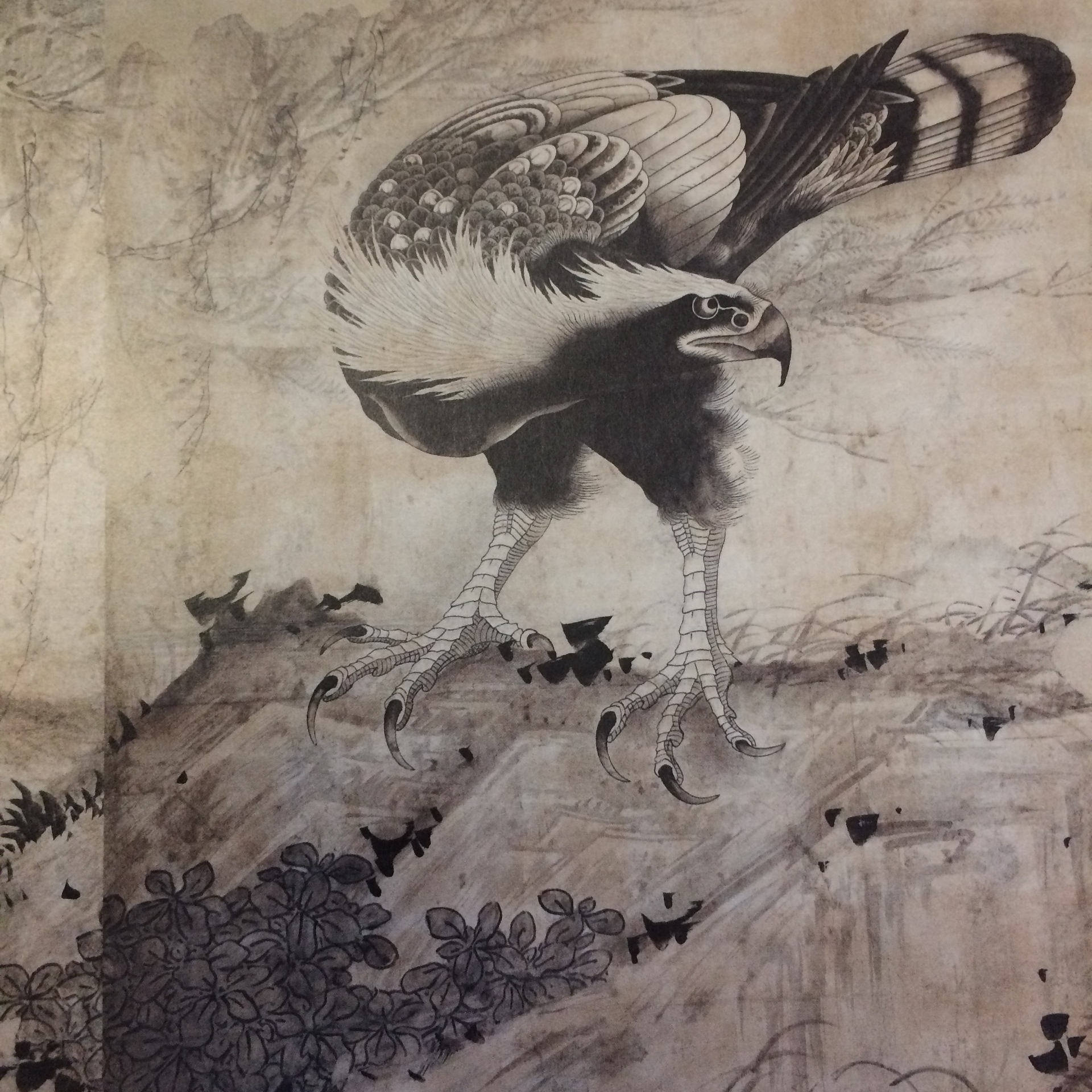 ☆古美術！ 曾我蕭白(曽我蕭白) 朱印 [ 暉一 ] 鷹と蘭図 ☆古美術！ 曾